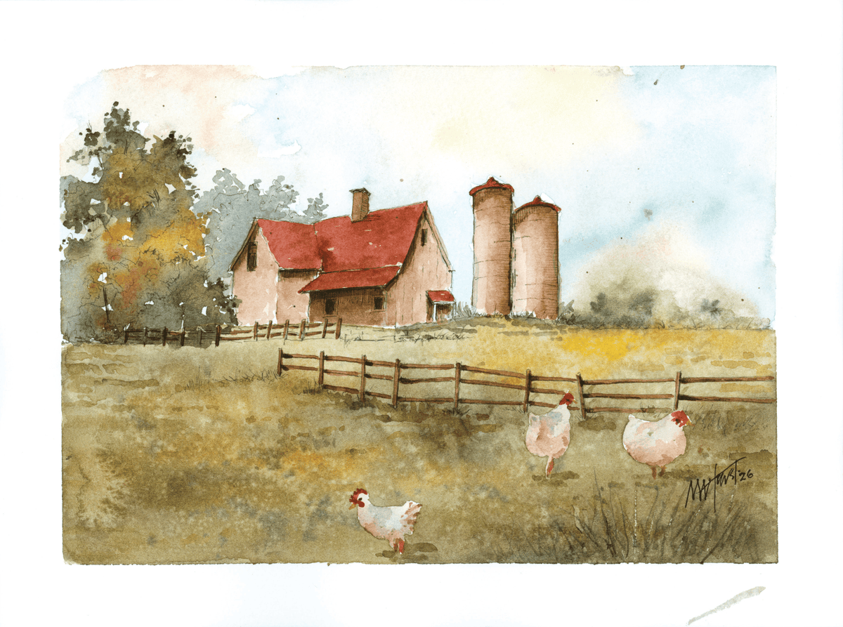 Chicken Life